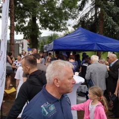 Euroliść zakorzenił się w Pleśnej