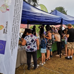 Euroliść zakorzenił się w Pleśnej